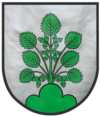 wappen stadt haslach freigestellt